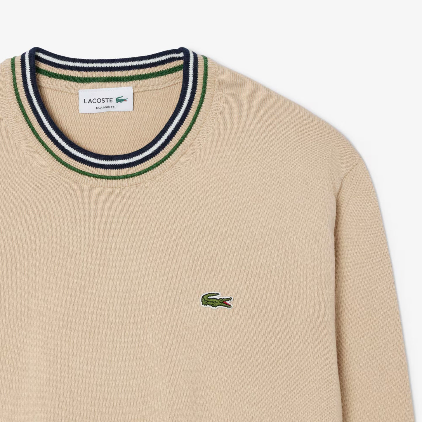 Striped Cotton Jersey Sweater
