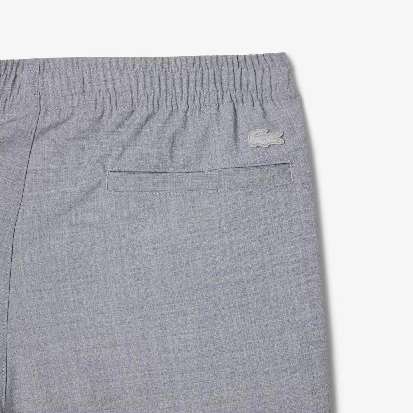 Regular Fit Wool Flannel Chino Pants