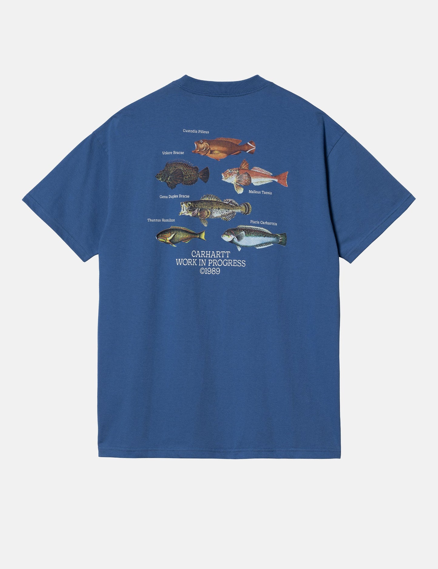 Fisch-T-Shirt (locker sitzend) – Acapulcoblau
