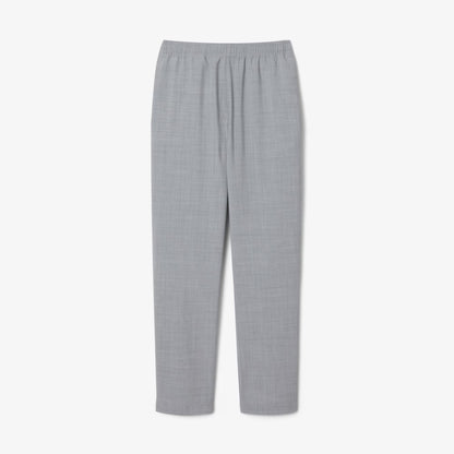 Regular Fit Wool Flannel Chino Pants